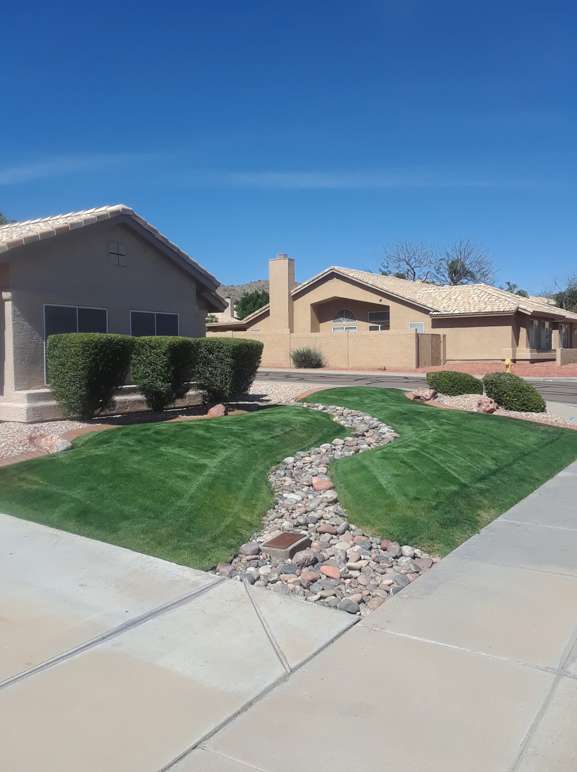 front lawn